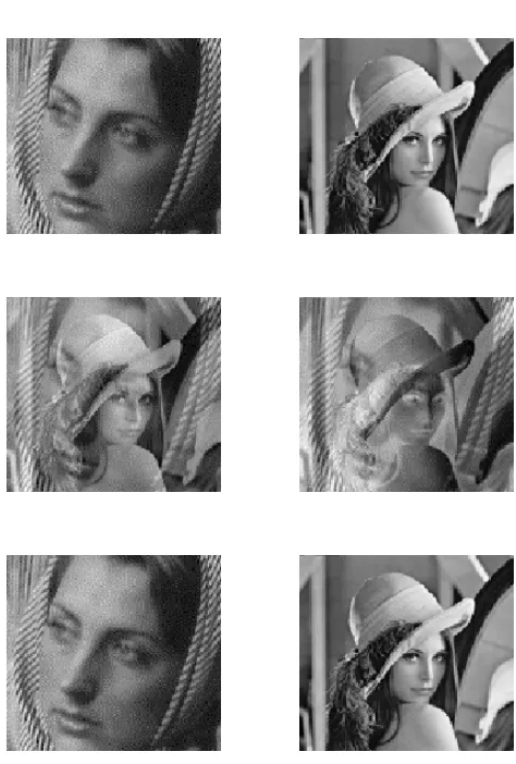 Figure 12: Applying Multiscale BSS method to noise-free mixtures: two source images (upperpair), their mixtures (middle pair) and separated images (lower pair).