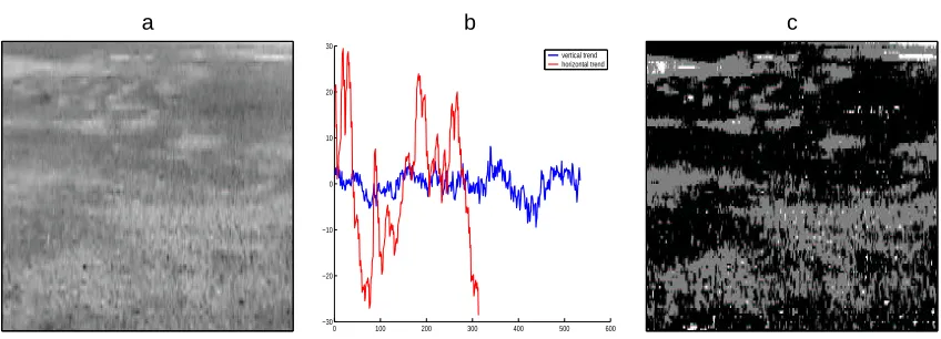 Figure 3: Sea Surface under Illumination: a. A typical image under illumination on the log-scale; b.The intensity proﬁles for the image in Figure 3a; blue and red colors (thick and thin linesin white/black printing, respectively) correspond to averaging ov