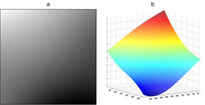 Figure 5: Illumination on the log scale: a. the RBF trend; b. the RBF trend as a surface.