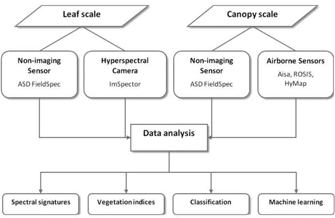 Figure 1.1: Concept of data assessment and data analysis on different scales with specific hyperspectral sensors.