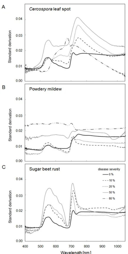Figure 4.7: Standard derivation of spectral reflectance of sugar beet leaves affected by (A) Cercospora leaf spot, (B) powdery mildew, and (C) sugar beet rust at different disease severities