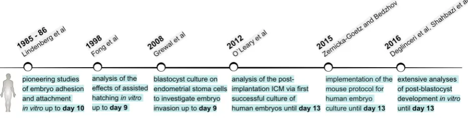 Fig. 4. Selected milestones in the establishment of human embryo culture methods supporting development beyond blastocyst stage in vitro.