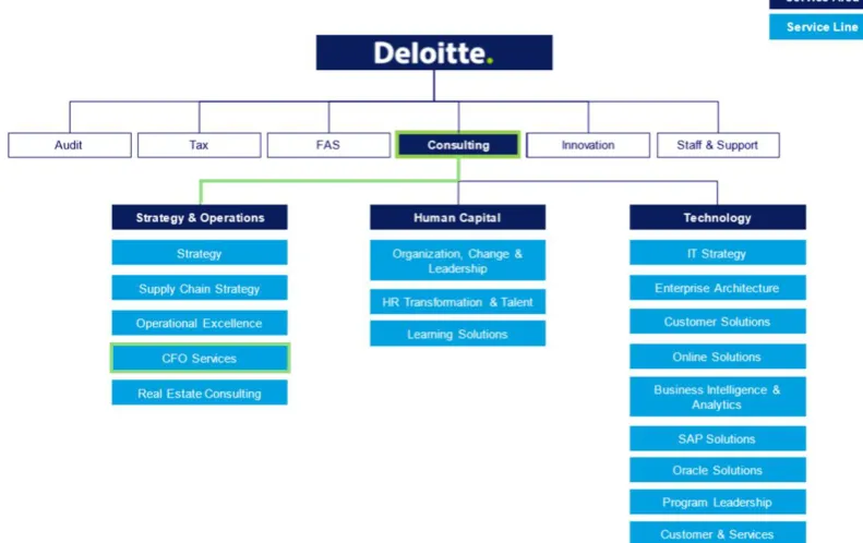 Figure 1-1: Organization structure Deloitte Consulting Netherlands 