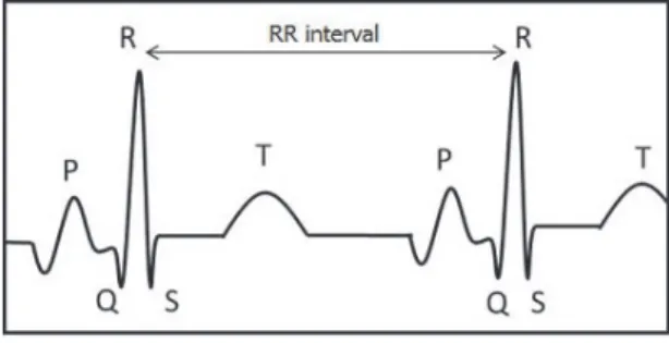 Figure 1 A sample of two ECG waves