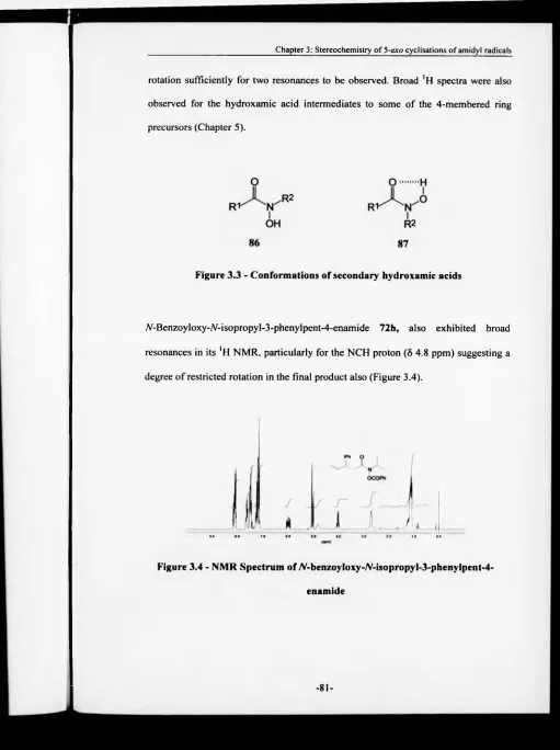 Figure 3.3 - Conformations of secondary hydroxamic acids