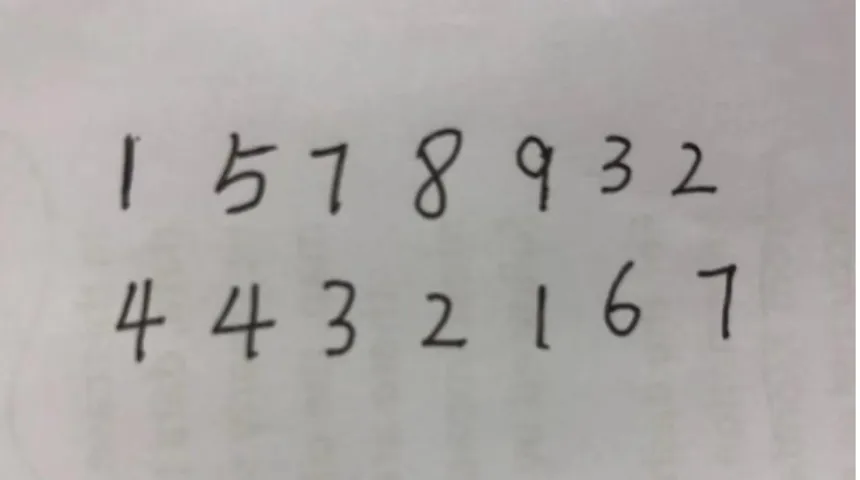 Figure 3.1: The several of handwritten digits never seen by the systems 