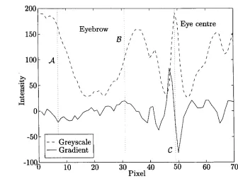 Figure 2.1 Gradient intensity used to locate eyebrows
