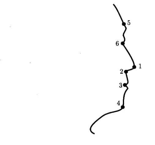 Figure 2.2 Profile points used by Wu and Huang
