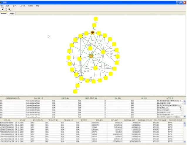 Figure 3.2: TVIS — the Network View (real data, confidential information is made anonymous and pixelated)