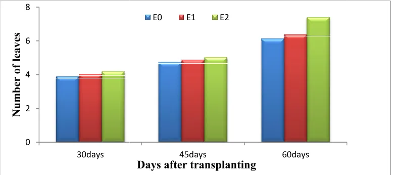 Fig. 4. Effect of earthing up on number of leaves plant4. Effect of earthing up on number of leaves plantHere, E = Control, E= Control, E = Two times earthing up, Eonion  -1 at different days after transplanting = Three times earthing up days after transplanting of 