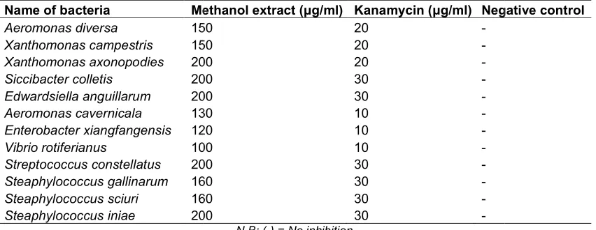 Table 2. MIC values of R. vesicariusR. vesicarius leave extract against the tested bacterialeave extract against the tested bacteria 