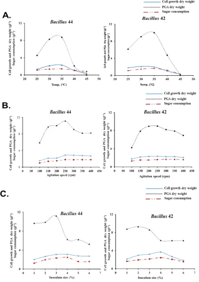Fig. 4. Optimizing fermentation temperature, agitation speed, and inoculum size for the best Fig