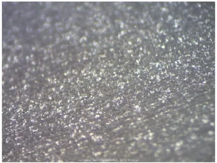 Figure 4.3: HAZ Area (after etching; magnification of 100) 