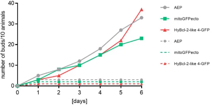 Fig. 3. Hydra budding rates depend on feeding regime. Budding rates in  Hydra polyps of transgenic and control strains in fed and non-fed animals