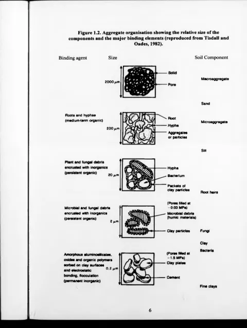Figure 1.2. Aggregate organisation showing the relative size of the components and the major binding elements (reproduced from Tisdall and