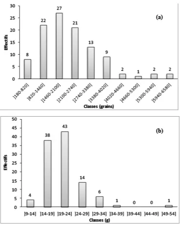 Figure 3: accessions frequency distribution against the performance of components as the number of grains per foot (a) and the thousand grain weight (b) 