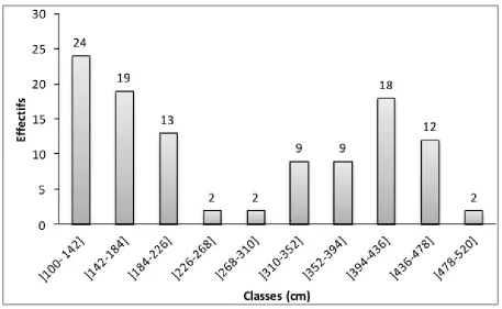 Figure 1: Frequency distribution of accessions depending on Semi-Flowering Duration 