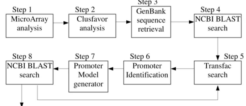 Figure 6. Workflow Model Taxonomy.