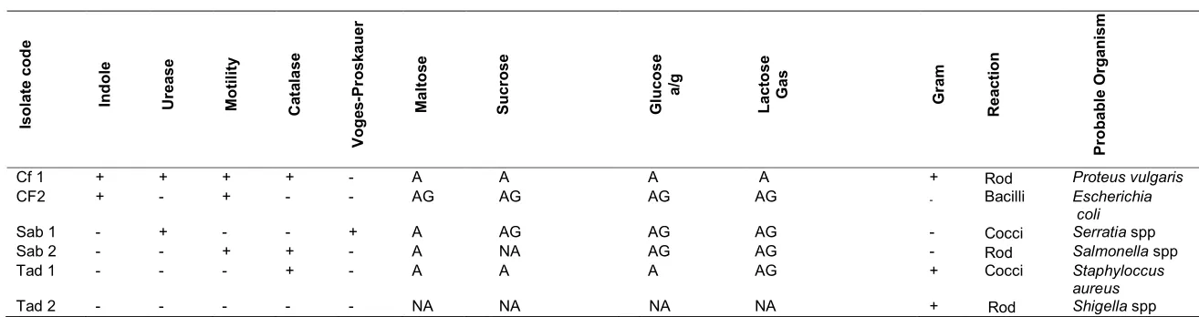 Table 3. Morphological characterization of the bacterial isolates 