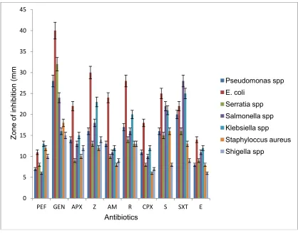 Fig. 1. Antibiotic sensitivity test on the bacterial isolates 