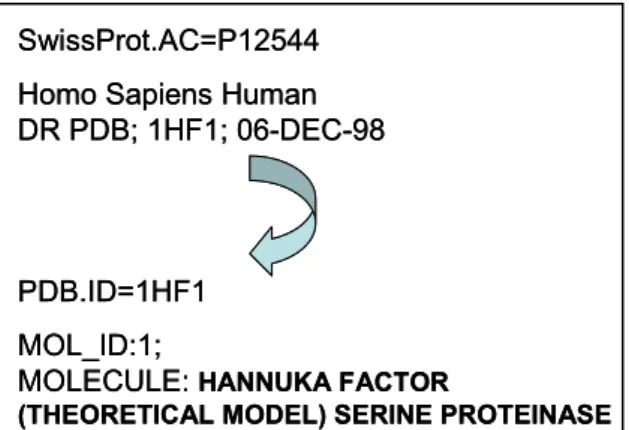 Fig. 1. Cross-referenced link between Swiss-Prot and  PDB. 