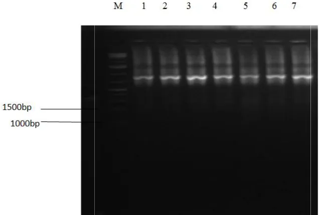Fig. 1. The voltages generated were within the Fig. 1. The voltages generated were within the 