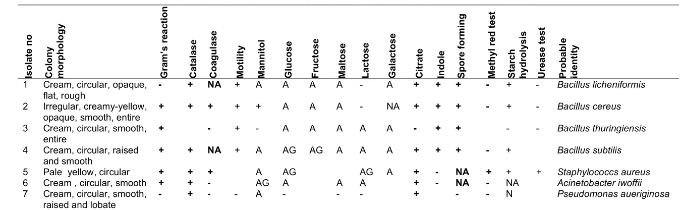 Table 1. Morphological, biochemical characteristics and identification of isolates from decayed Tectona grandis wood  