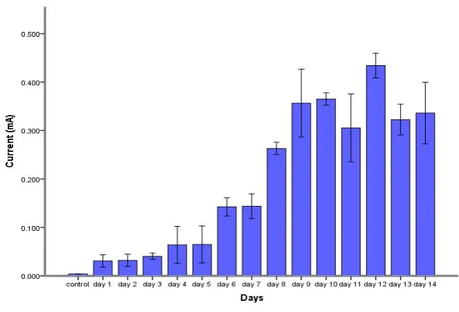 Table 3. Molecular identification of isolated bacteria from decayed Tectona grandis 