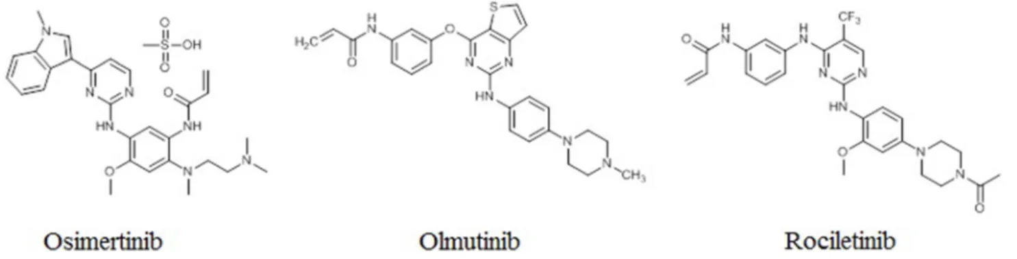 Figure 2: Structures of third-generation EGFR TKIs.