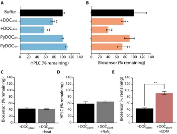 Fig. 2. Naringenin bioavailability is decreased by chemicals in DOC. Each amendment (25 mg ml(+DOCcompared with DOCDOC+heat) maple wood DOC were mixed with naringenin (0.6 mM), and bioavailability was measured using the biosensor