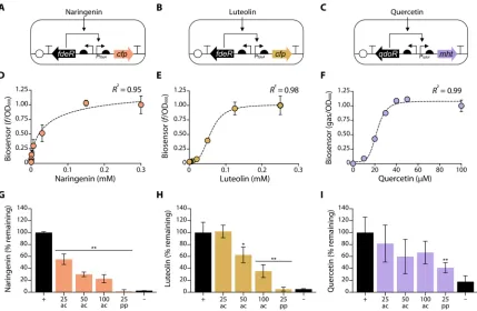Fig. 3. Plant organic matter has varying effects on the availability of different flavonoids
