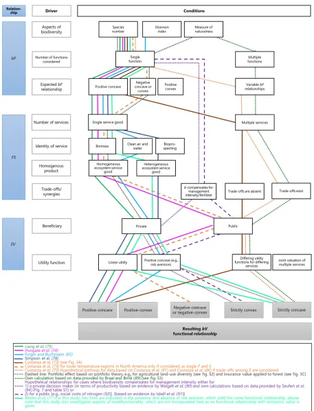 Fig. 4. “Roadmap” of studies presented as examples for bV relationships. Figure orders the example studies (each study being represented by one line; see lower box forsources) by the identified driversof functionalbV relationships (boxeswith gray borders) 