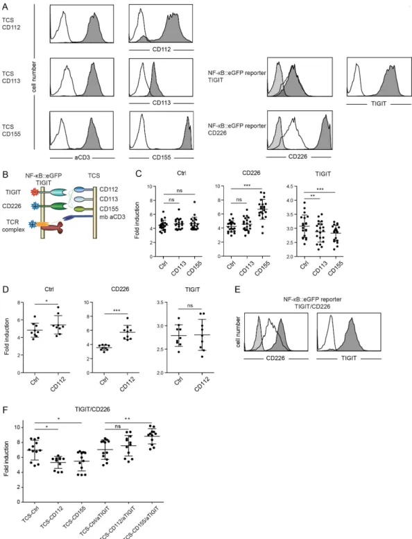 Figure 2: Evaluation of TIGIT and CD226.  A. Flow cytometry analysis of TCS and NF-κB::eGFP reporter cells
