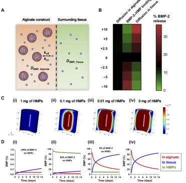 Fig. 2. In silico assessment of BMP-2 release from alginate/PCL tissue-engineered constructs
