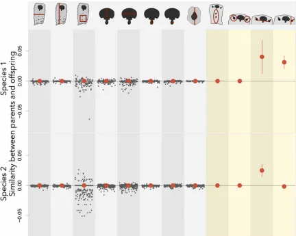 Fig. 3. The evolutionary potential for eight modular and four colony-level traits in two species of the bryozoan Stylopoma