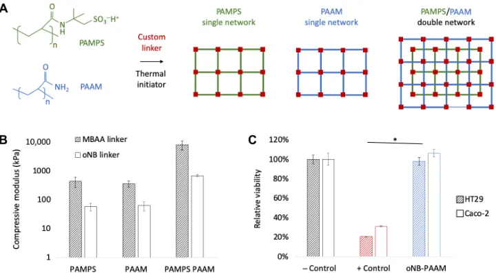 Fig. 2. Mechanical and biocompatibility characterization of light-degradable hydrogels