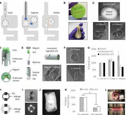Fig. 4. Light-degradable hydrogels as dynamic triggers in GI devices. (power the LEDs are threaded through the endoscope, and a hole in the array maintains visibility through the endoscope’s integrated camera