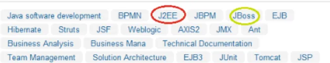 Fig. 3. LinkedIn skills example