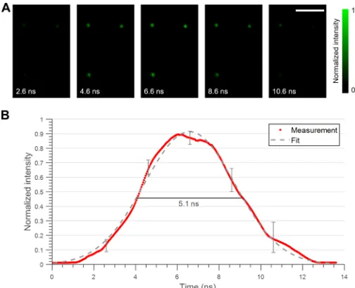 Fig. 1. pCUP system configuration. BB, beam block; BS, 90:10 (reflection/transmission) beam splitter; CLcylindrical lens; CMOS, external CMOS camera (Grasshopper3, FLIR); DM, 805-nm short-pass dichroic mirror; DPS, sample; SO, stereoscope objective (MV PLA