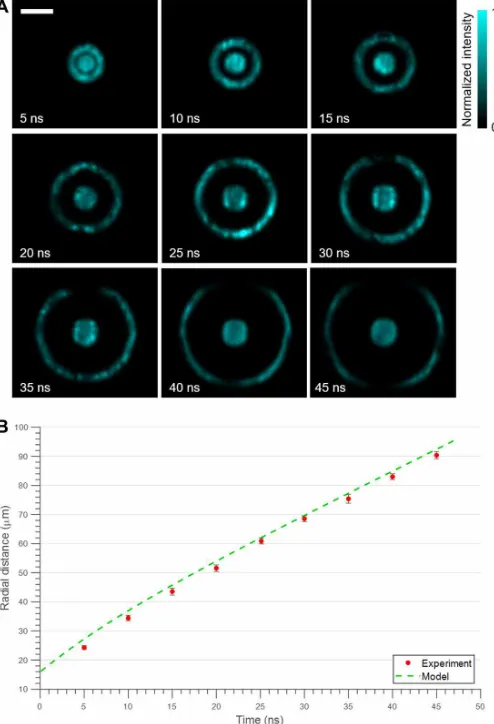 Fig. 4. pCUP imaging of laser-induced shock wave propagation in water. (representative frames captured from four 10-ns sequences
