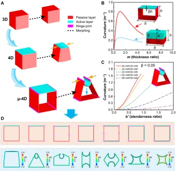 Fig. 2. Evolution of 3D-printed building blocks. (A) 4D micro-building blocks evolve from conventional static 3D-printed building blocks to deformable building blocks and further to articulated building blocks owing to the development of active materials a