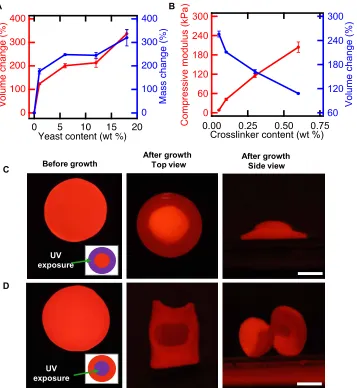Fig. 2. Shape change of living composites can be controlled. (and volume change as a function of cross-linker content