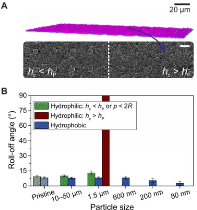 Fig. 4. Contamination and self-cleaning of superhydrophobic microstructuredSU-8 pillars (rectangular, 10-the micropillar array is only partially filled with particles (surface contaminated with 1.5-(SEM)