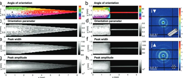 Figure  5 compiles the scanning SAXS analysis for the  lamellar lyotropic liquid crystal