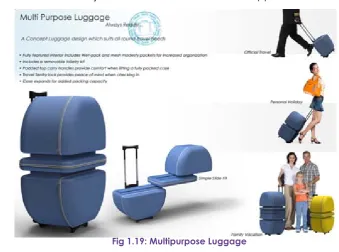 Fig 1.19: Multipurpose Luggage