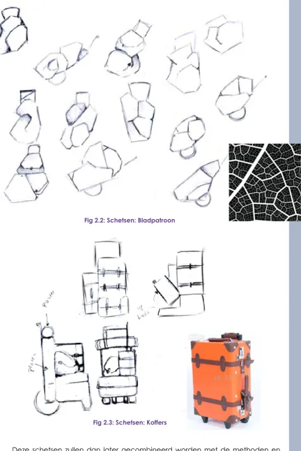 Fig 2.2: Schetsen: Bladpatroon