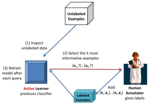 Figure 5: Active Learning scheme.