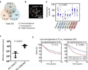 Fig. 4. Distinct gene expression profiles of SCCs reveal prognostic genes. (A) Venn diagram showing the number of genes that are found to be significantly different (>5-fold and P value from one-way ANOVA <0.05) between three different in vivo grades of ag