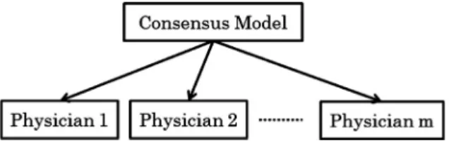 Fig. 1. The consensus model and its relation to individual expert models.