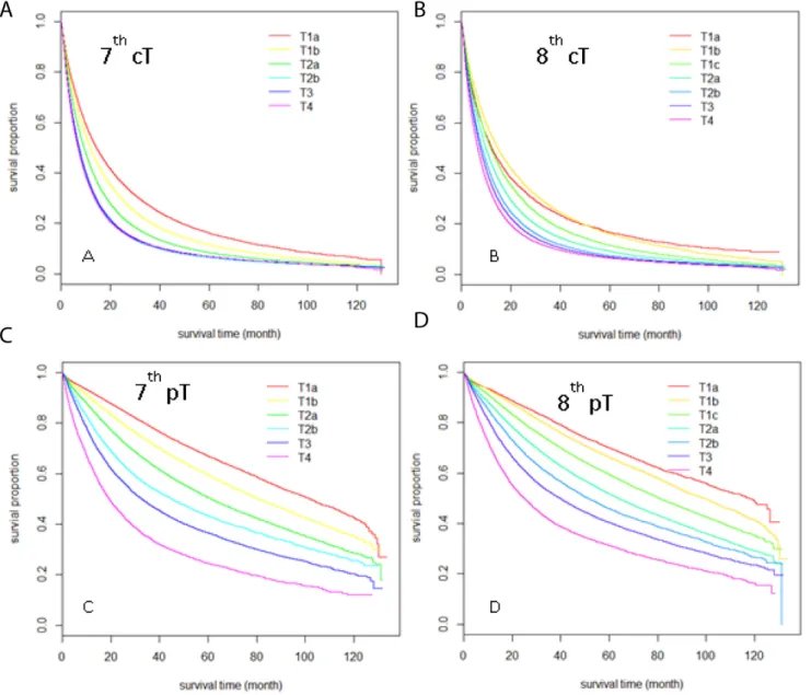 Figure 1: Kaplan-Meier Survival curves comparison among different T stages sub-groups